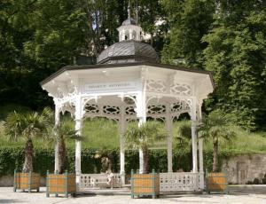 Ville Thermale Karlovy Vary pendant la nuit